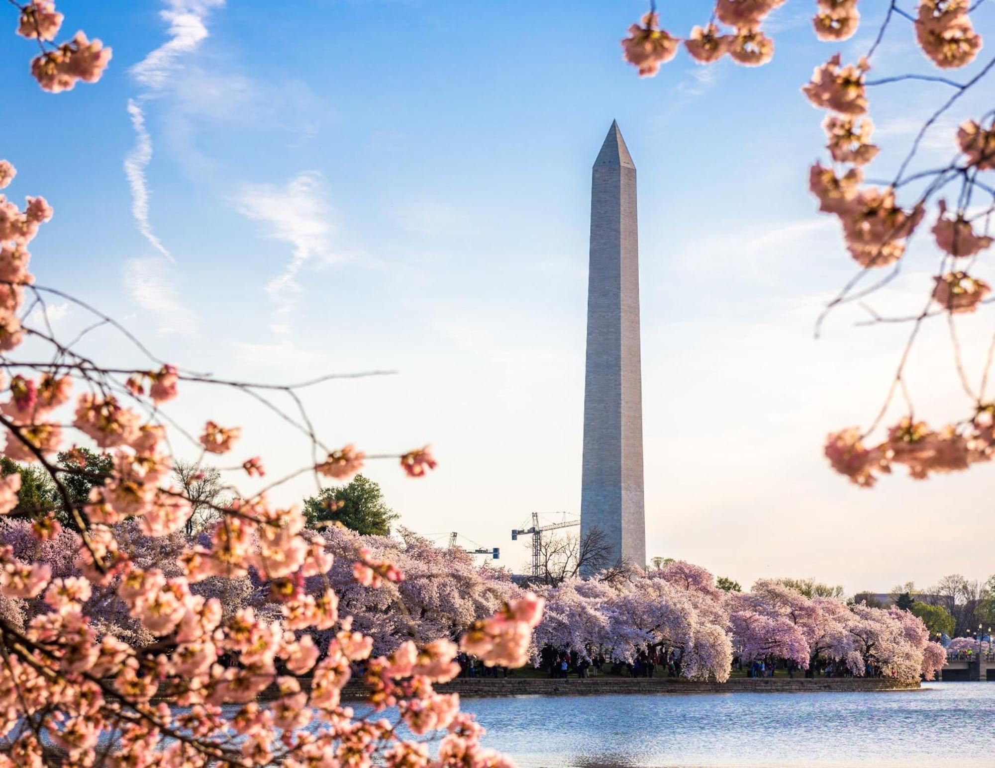 Staybridge Suites Washington D.C. - Greenbelt By Ihg Lanham Exterior foto